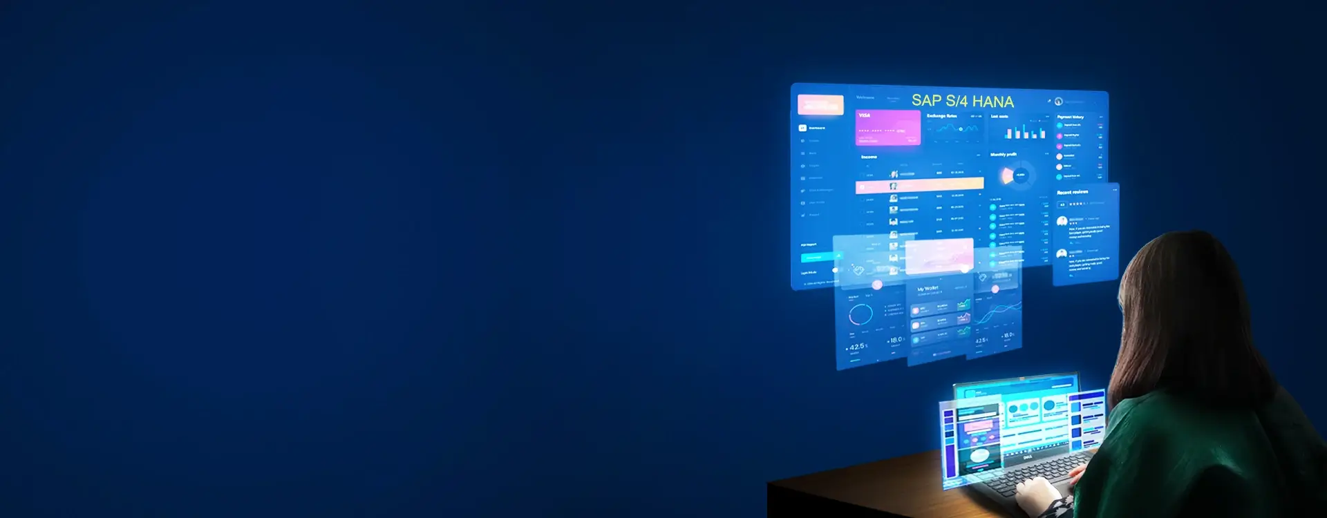 rise-sap-banner